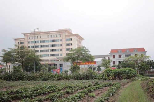 “Bệnh”… thích hoành tráng